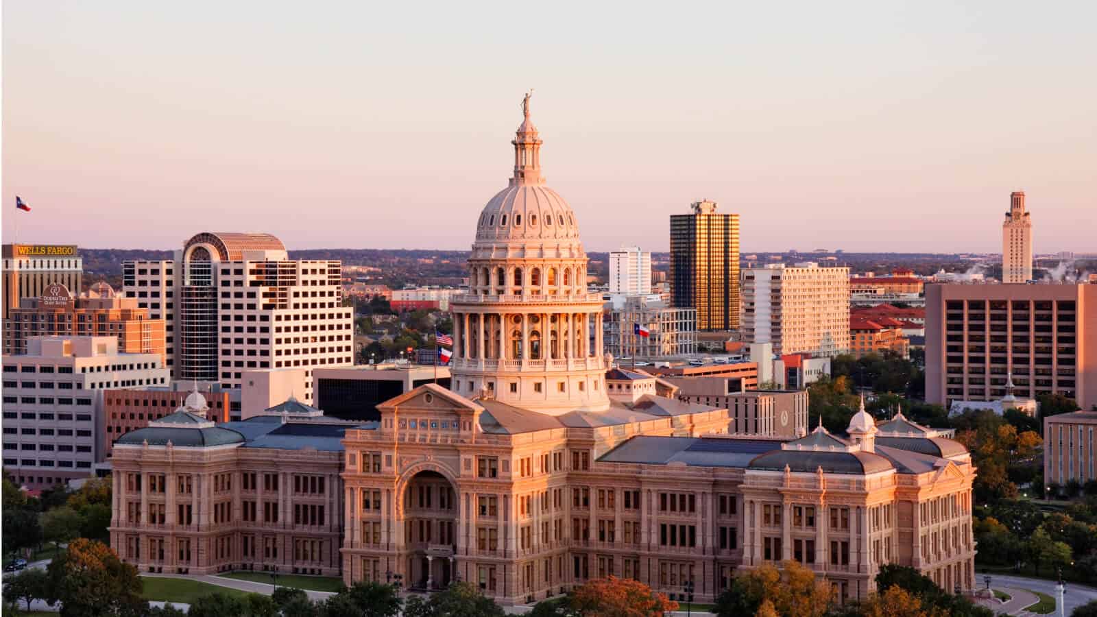 Pros and cons of forming an LLC in Texas.