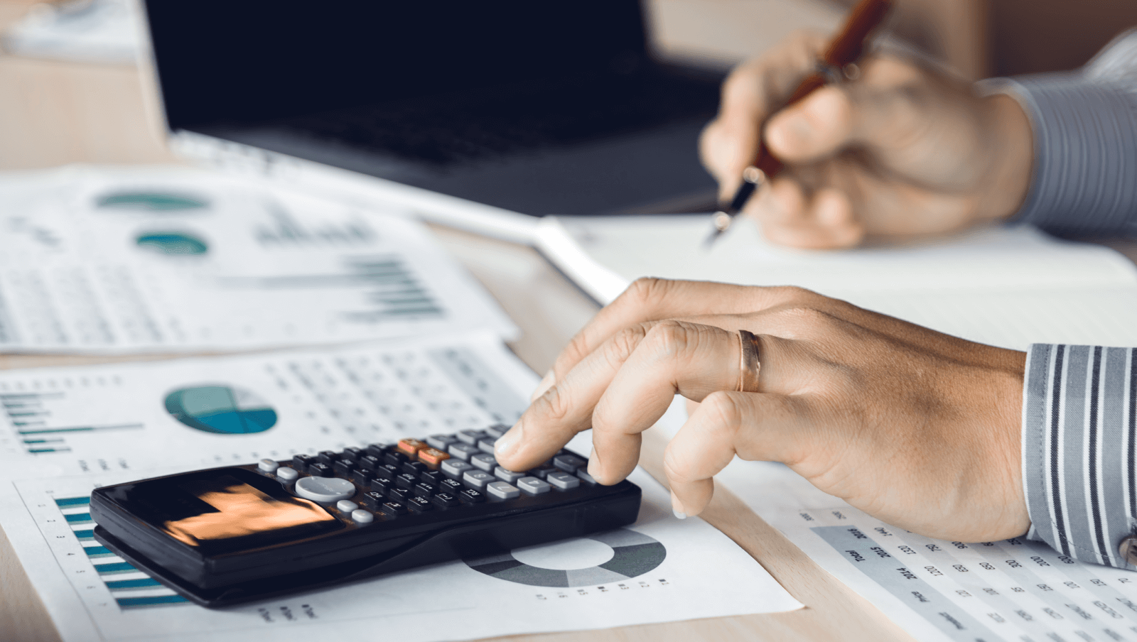 Accounting professionals can serve as LLC organizers
