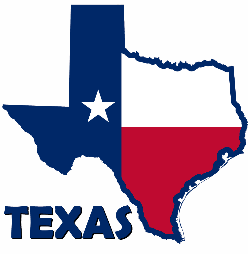 How to Start an LLC in Texas StepbyStep Guide