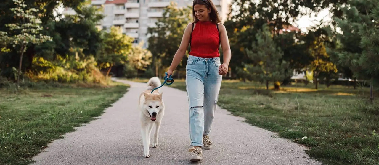 Female in red shirt and jeans walking a white dog on a pavement pathway in a park