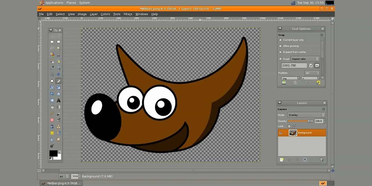Gimp