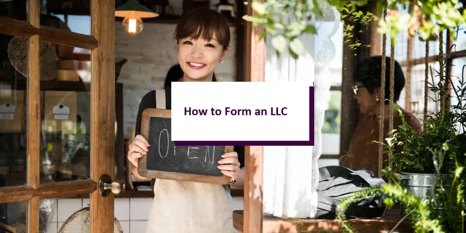 LLC Formation Guides