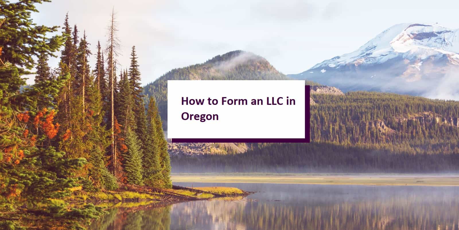 Stunning How To Get Llc In Oregon Design for Your Screen Stunning How To Get Llc In Oregon Design for Your Screen
