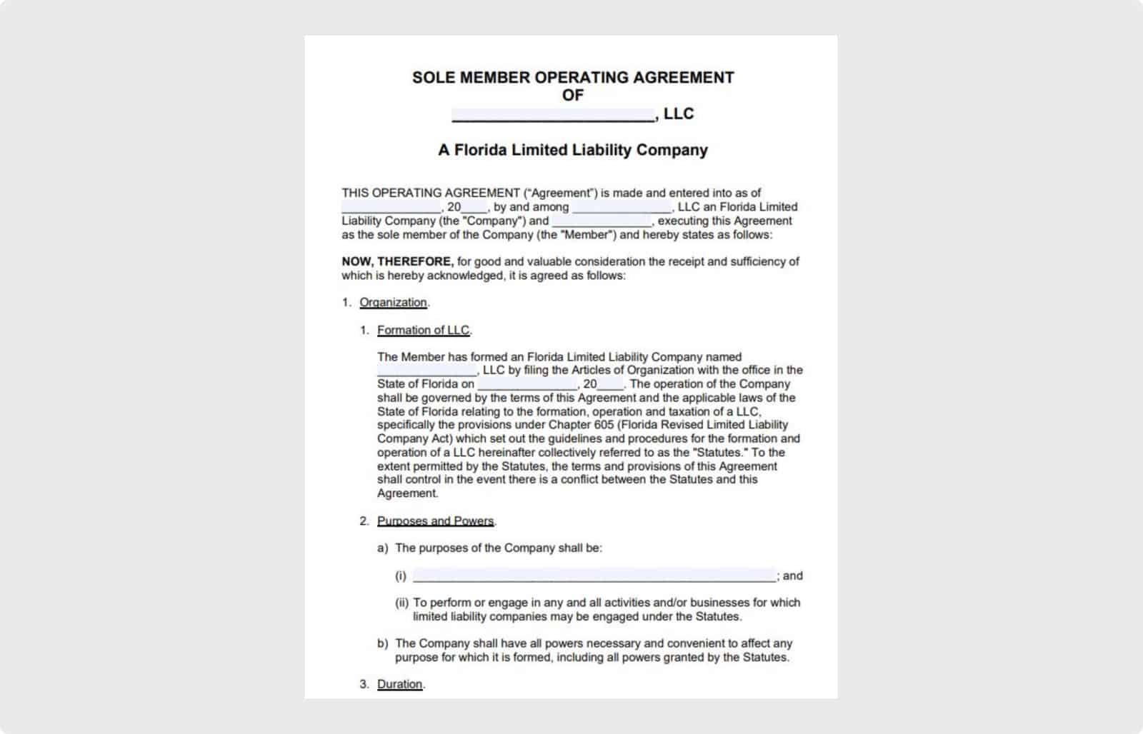 Blank Florida Single Member LLC Operating Agreement