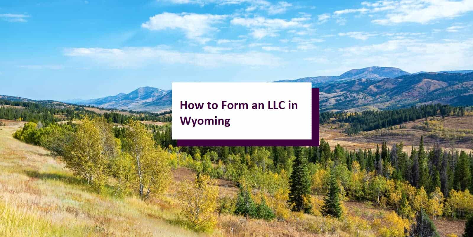 How to Start an LLC in Wyoming StepbyStep Guide