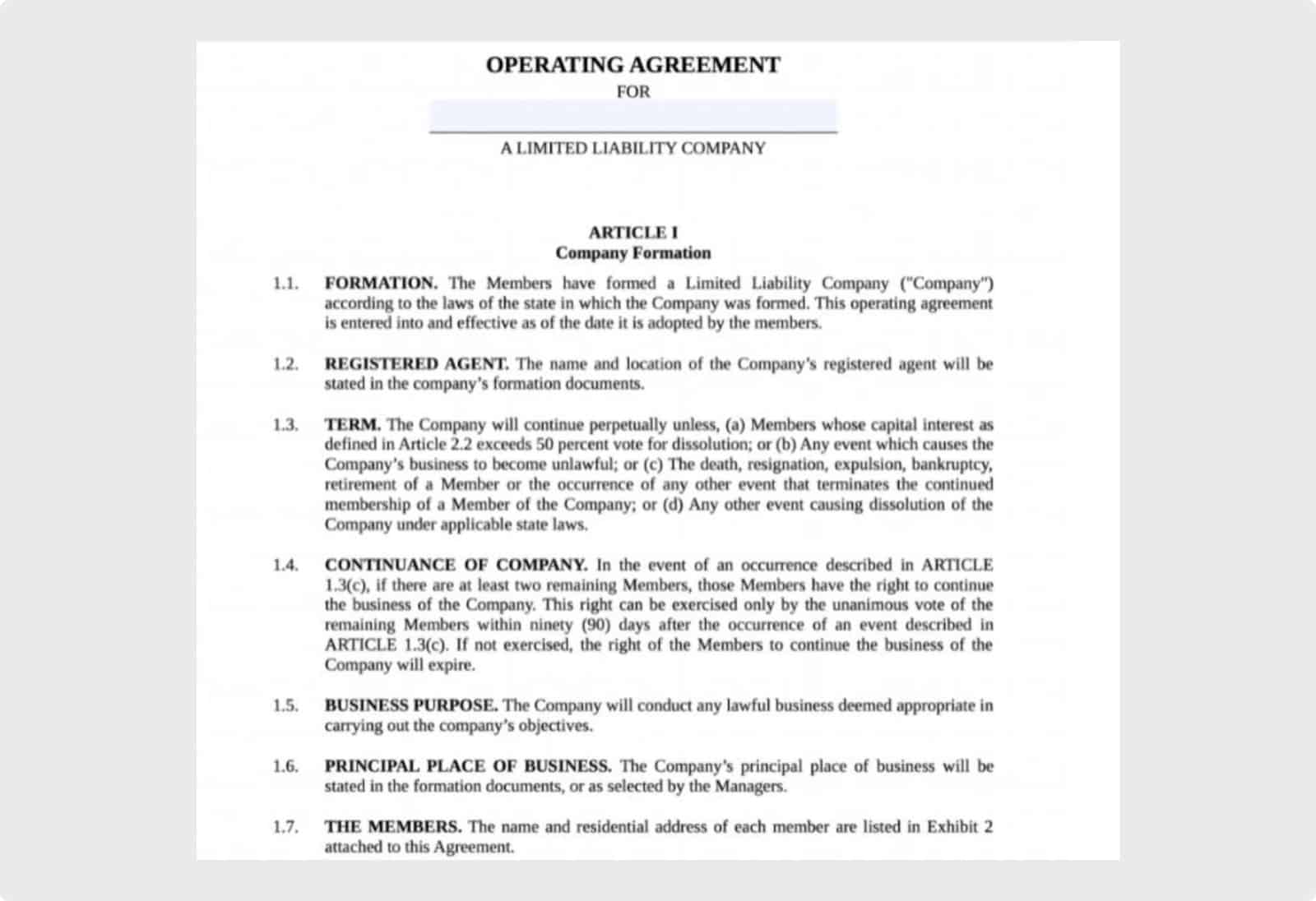 LLC operating agreement example