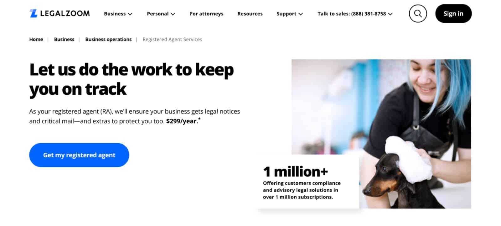 Registered agent (RA) services
