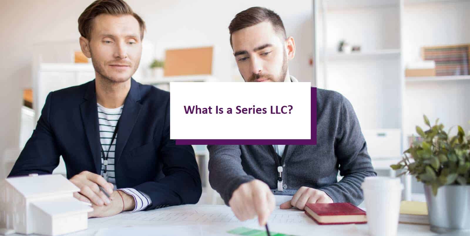 What Is a Series LLC All You Need to Know