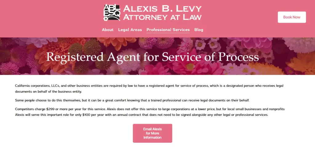 alexis b levy registered agent